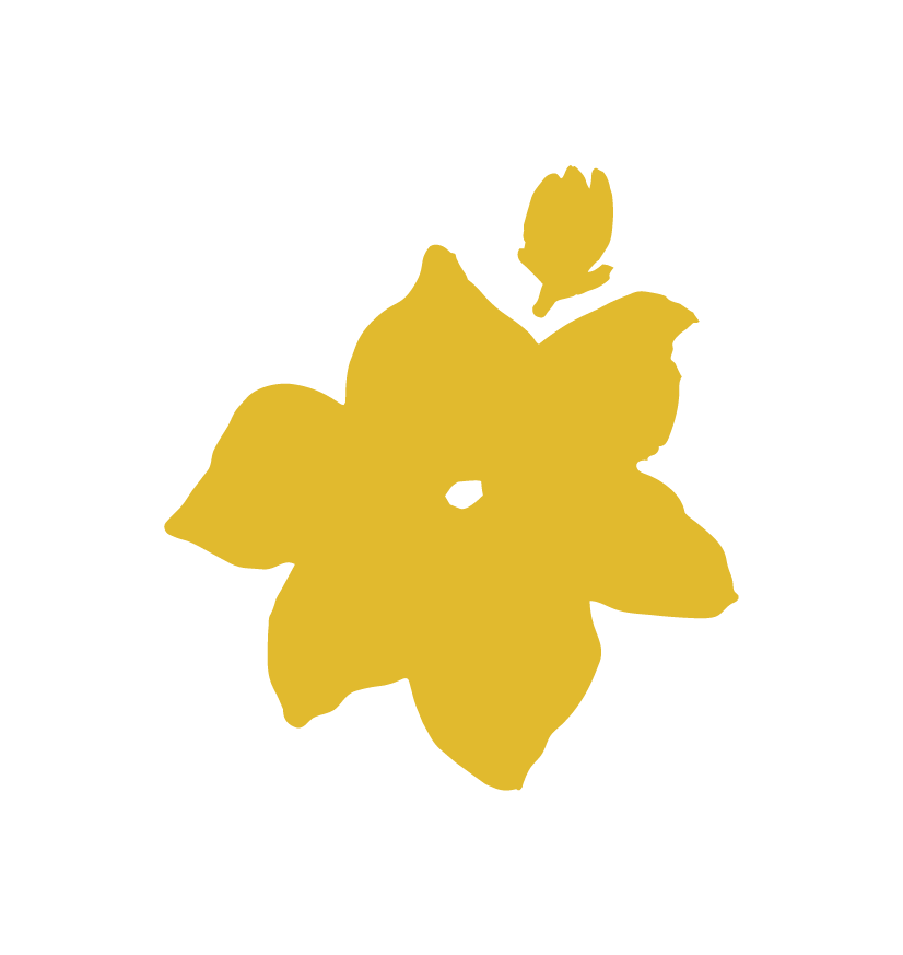 icon for Magsaya Kayo Wellness featuring an artist drawn sampaguita flower with 6 petals and a bud. owner does not give consent to use this image without express permission and prohibits it being uploaded to teach generative AI.